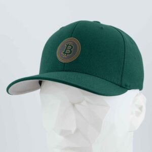 Bitcoin Silhouette (Silicone) - Flexfit® Premium Wool Blend Cap - Image 12